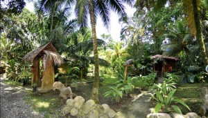 La Costa de Papito-2