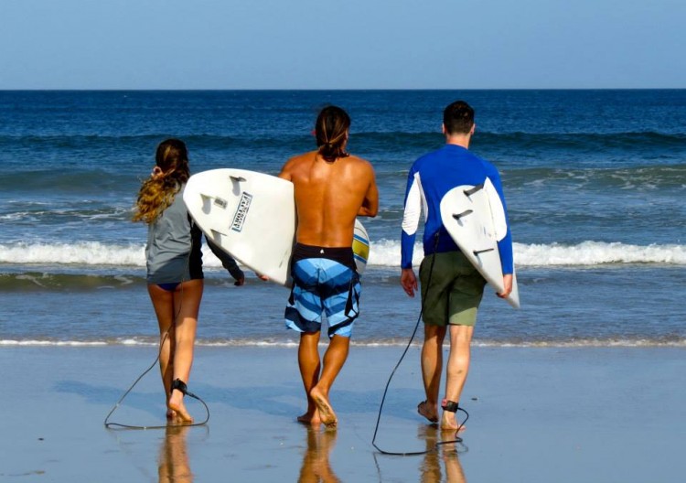 Learn Improve Surf Company 1