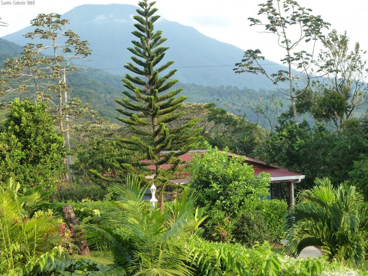 Sueno Celeste Bed and Breakfast 3