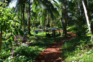 Finca Tierra Organic Permaculture Farm & Eco-Lodge 3