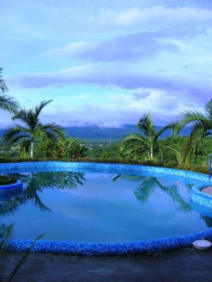 Hotel Palmeral Dorima 2