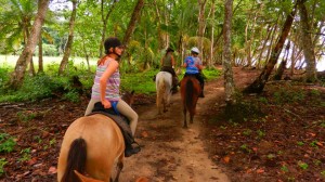 Kindred Spirits - Horse Riding Treks and Retreats 3