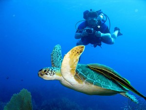 Scuba Diving Costa Rica 3