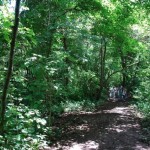 National Parks of Costa Rica: Barra Honda National Park