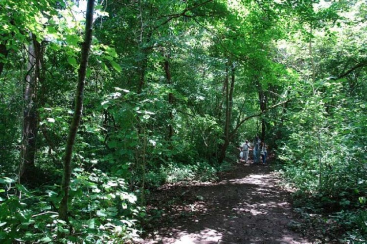 National Parks of Costa Rica: Barra Honda National Park