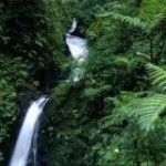 Eco Vacation in Costa Rica