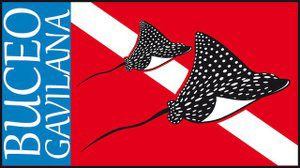 7a0db1a557-543517_272590066209482_500599993_n1