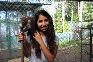 Volunteer with an awild animal