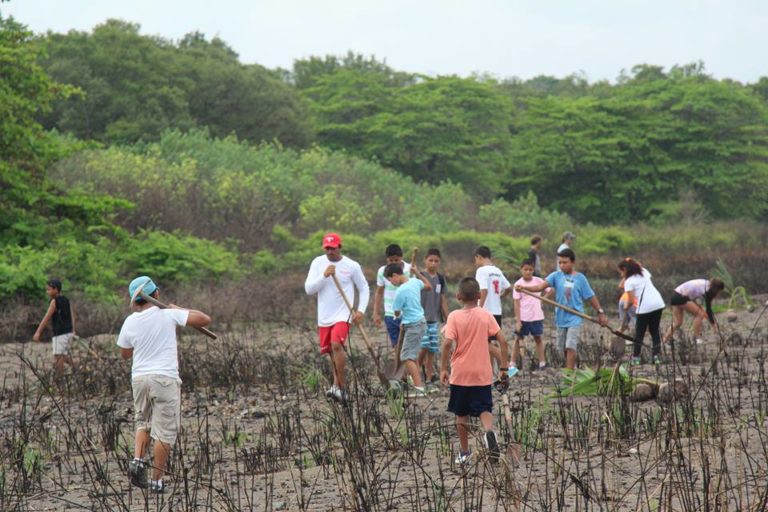 cirenas field work