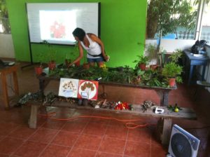 cirenas workshops