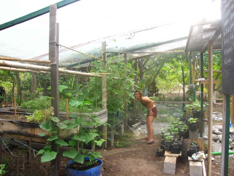 Finca Morpho