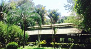 lachosa