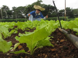 rancho mastatal