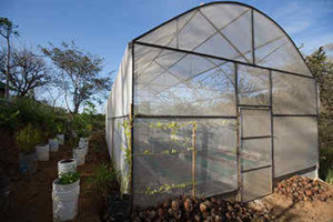 sustainability
