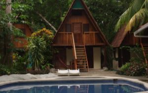 howler-monkey-hotel