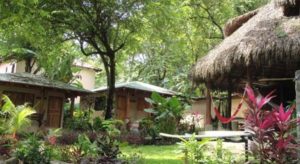 shakabeach resort
