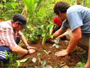 Punta Mona Permaculture design course