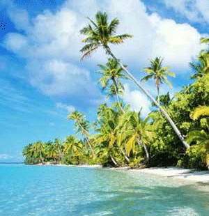 Cahuita-National-Park