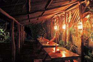 budda cafe