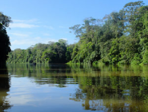 Tortuguero National Park