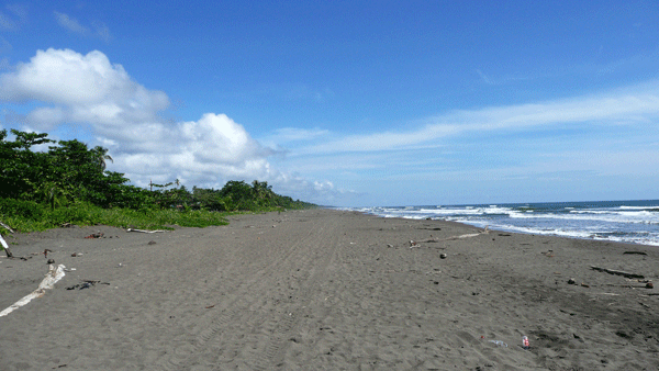 Tortuguero_beach_costa_rica