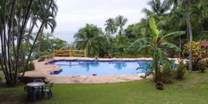 Hotel los mangos pool area