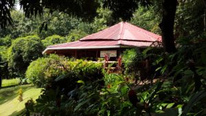 Hotel Los Mangos: yoga platform