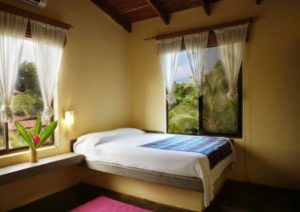 Cafe Playa Negra: accommodation