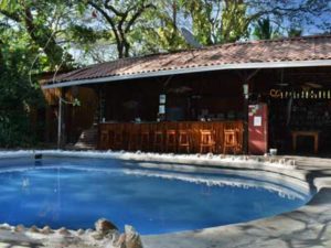 Howler Monkey Hotel: pool