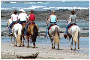 Hotel Samara Inn: horseback riding