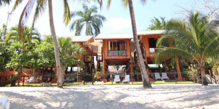 samara-treehouse-front