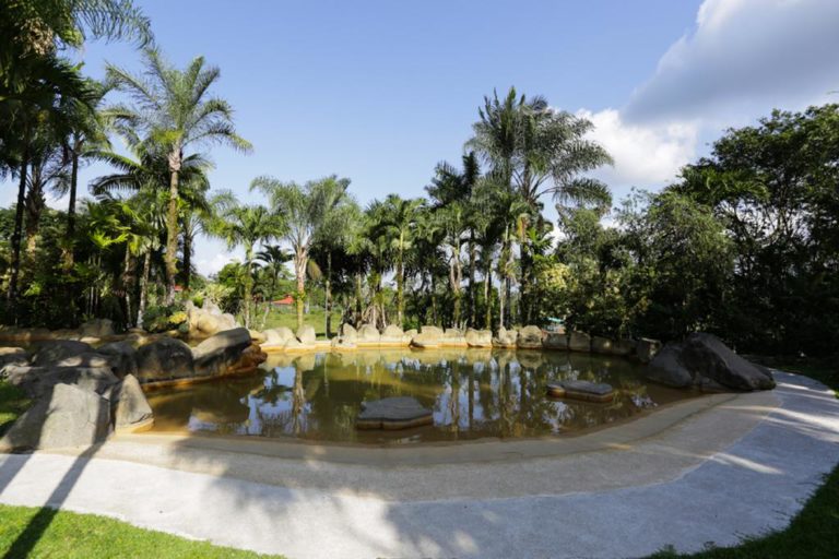 Arenal Paraiso Resort