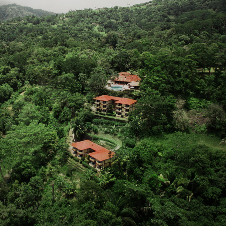 Vista Ballena